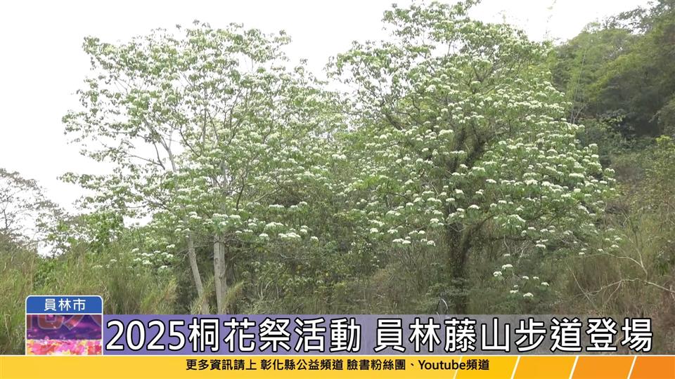 114-04-19 員林真好客 樂FUN遊藤山 2025桐花祭登場